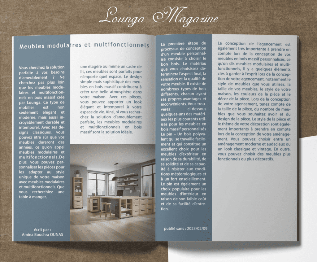 Meubles Modulaires